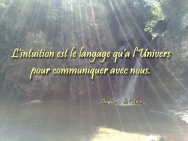 Au coeur de votre intuition Au coeur de votre intuition