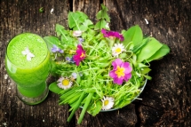 Cure de printemps… Mettez-vous au vert ! Cure de printemps… Mettez-vous au vert !