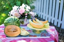 Chic, c’est encore la saison des melons ! Chic, c’est encore la saison des melons !