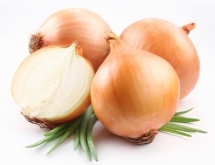 5 plantes médicinales pour se donner du pep's d'ici le printemps 5 plantes médicinales pour se donner du pep's d'ici le printemps