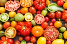 Le top 5 des légumes Le top 5 des légumes
