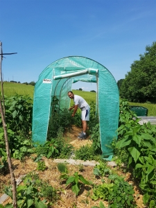 La permaculture pour les nuls