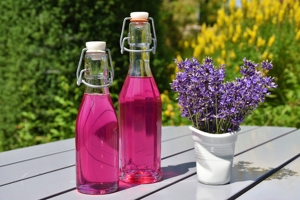 La lavande, vous l’aimez plutôt en sirop ou en vinaigre ? La lavande, vous l’aimez plutôt en sirop ou en vinaigre ?