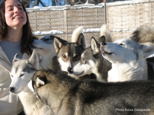 Dans le Jura avec des huskies Dans le Jura avec des huskies